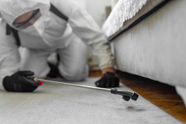 Professional Cockroach Control technician working in Hialeah, FL