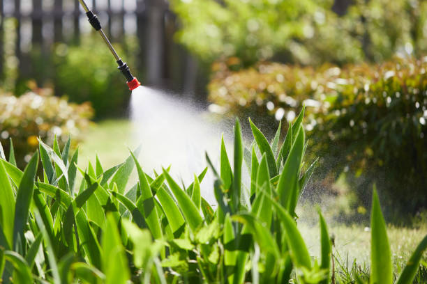 24/7 Emergency Cockroach Control experts in Hialeah, FL