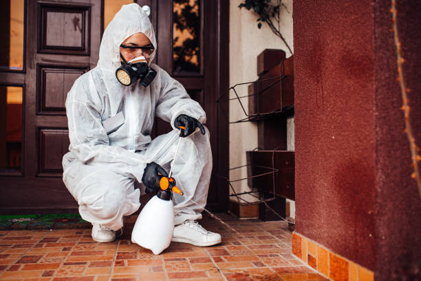 Reliable Cockroach Control contractor in Hialeah, FL by Nex Pest Control